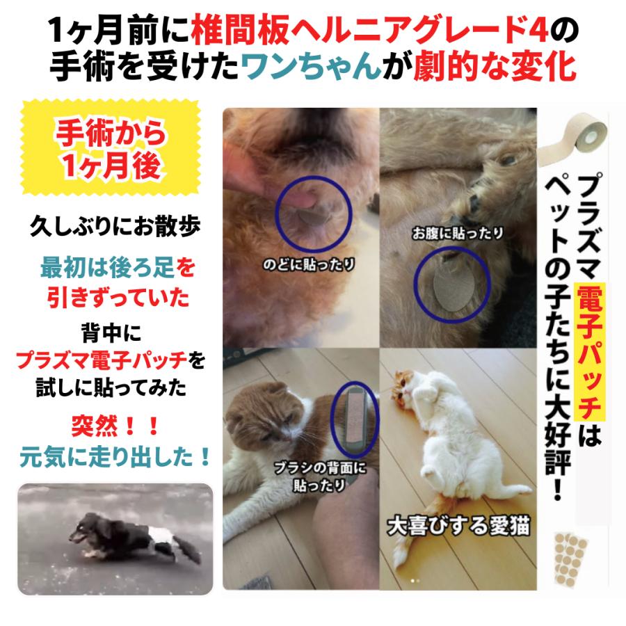 テーピング 腰痛 筋肉痛 健康 スポーツ 生理痛 湿布 プラズマ電子