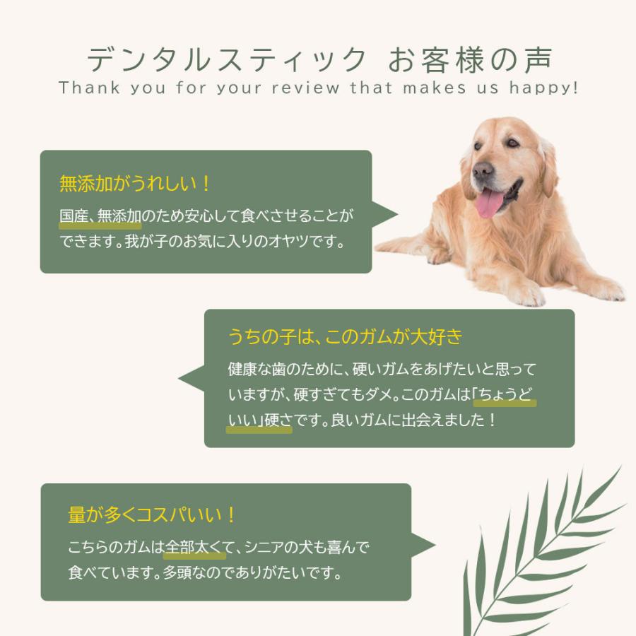 デンタルスティック 0本 50本 4袋 アニマルシェ公式 国産 無添加 歯磨きガム はみがきガム 大容量 おやつ ガム 犬 犬おやつ 犬用 小型 犬 大型犬 Bayu Store 通販 Yahoo ショッピング