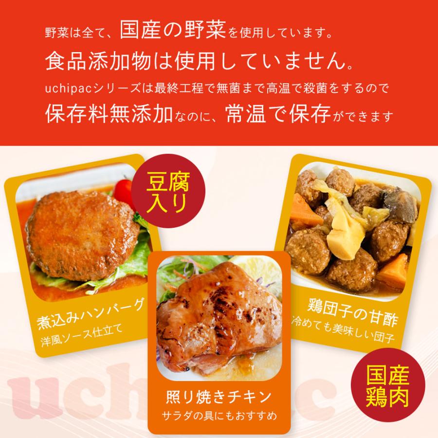レトルト 食品 惣菜 10品目セット 内野家 uchipac 非常食 防災食 無添加 常温保存 おかず 備蓄 台風 地震 災害 対策 爆買 |  | 01