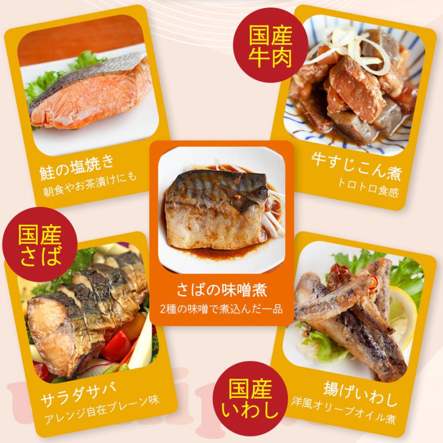 レトルト 食品 惣菜 10品目セット 内野家 uchipac 非常食 防災食 無添加 常温保存 おかず 備蓄 台風 地震 災害 対策 爆買 |  | 02