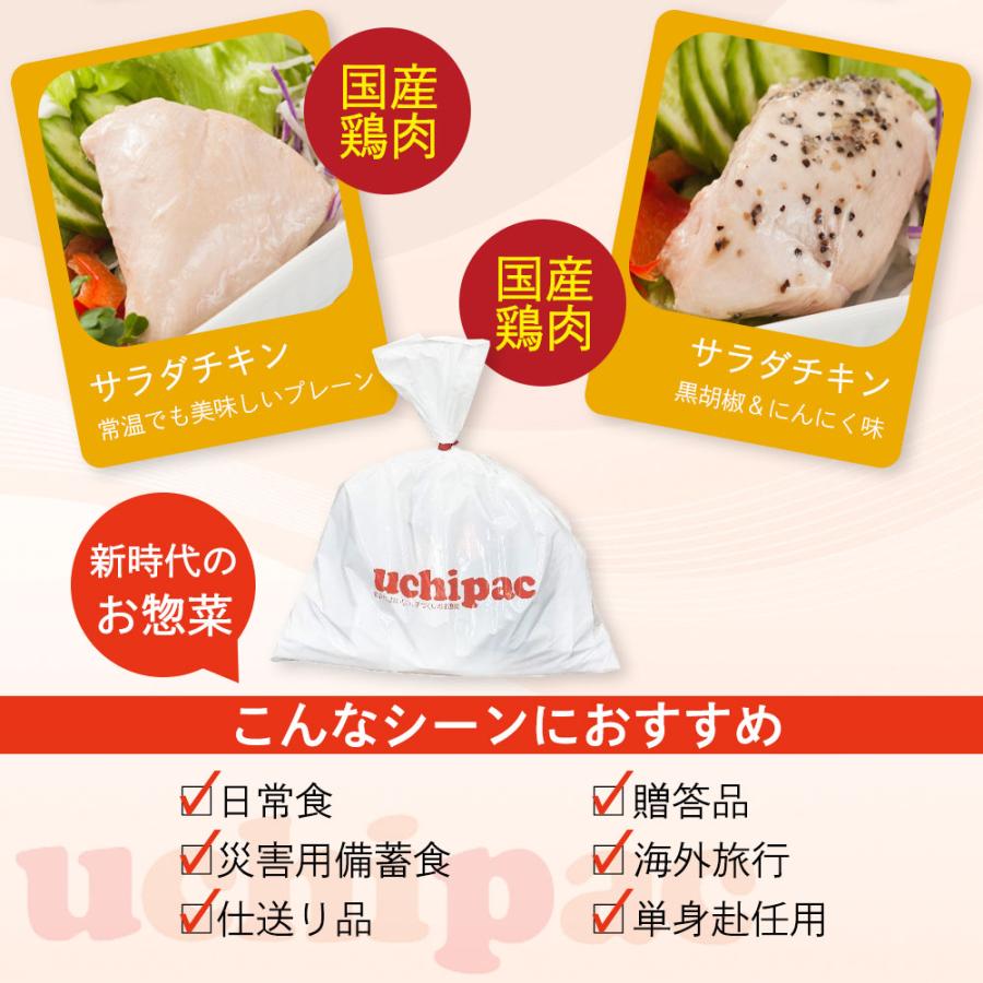 レトルト 食品 惣菜 10品目セット 内野家 uchipac 非常食 防災食 無添加 常温保存 おかず 備蓄 台風 地震 災害 対策 爆買 |  | 03