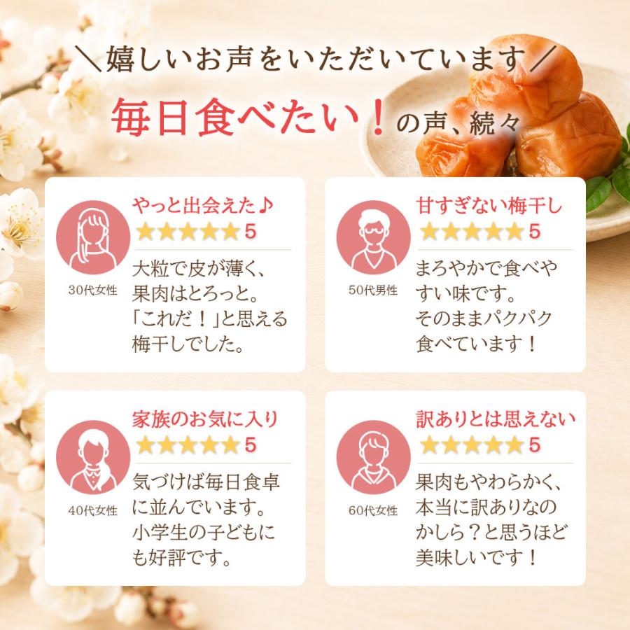 梅干し 訳あり はちみつ 塩分3% お中元 2026 紀州南高梅 減塩 大粒 つぶれ梅 400g ギフト フードロス 爆買 |  | 11