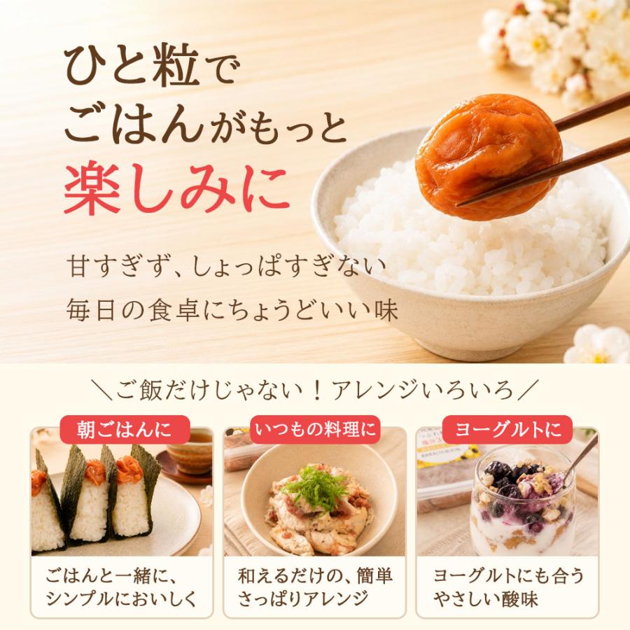 梅干し 訳あり はちみつ 塩分3% お中元 2026 紀州南高梅 減塩 大粒 つぶれ梅 400g ギフト フードロス 爆買 |  | 09