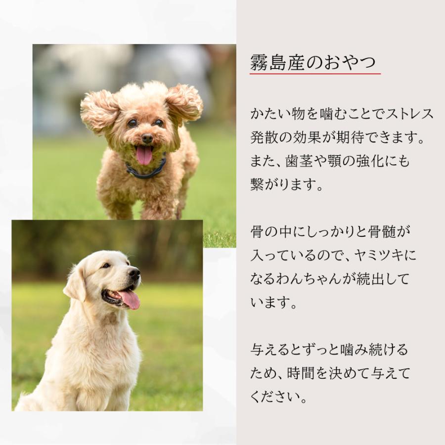 鹿レッグボーン 3本 犬用 ペットフード 国産 無添加 ジビエ 歯磨きガム おやつ ギフト 誕生日 ラッピング 爆買 |  | 09
