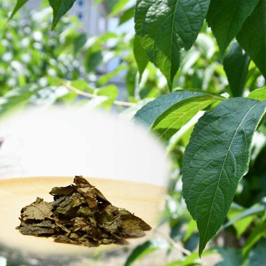 杜仲茶 トチュウ茶 国産 福井産 80g (2g×40パック) セット 送料無料 爆買 |  | 04