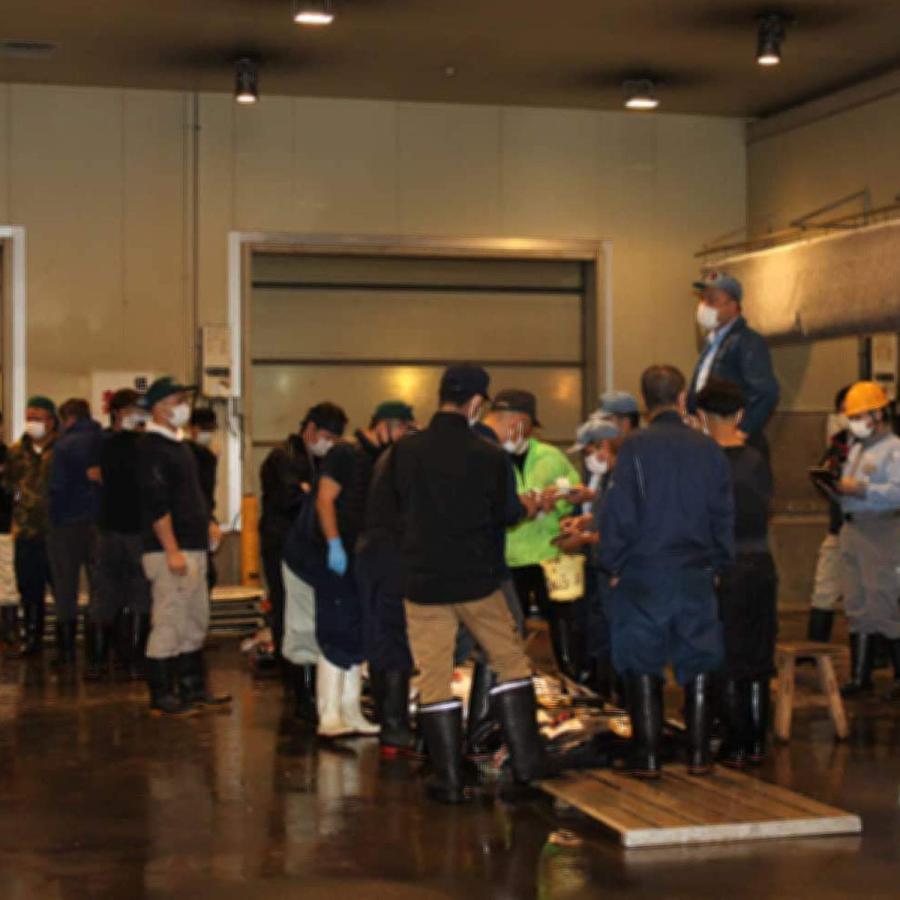 まぐろ 本マグロ 赤身 ブロック 500g(250g×2) 柵 塊  刺身 冷凍 ギフト 高級 ネギトロ 寿司 |  | 03