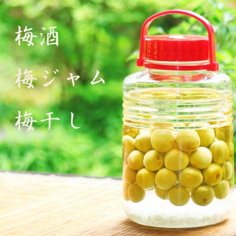 冷凍 梅 紀州南高梅 大粒 完熟 1kg 梅干し 酒 ジュース ジャム |  | 04