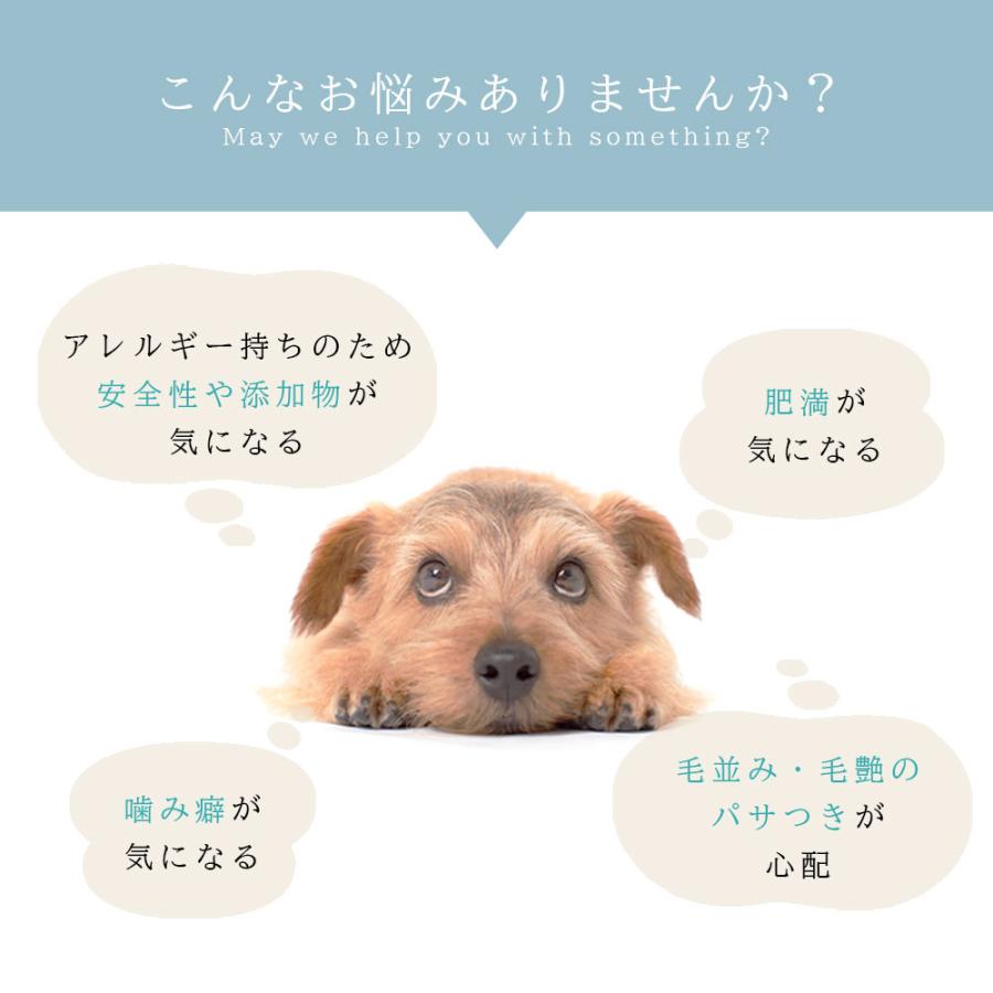 訳あり 馬アキレス ショート 無添加 160g (80g×2袋) 犬用 犬おやつ 犬餌 高たんぱく 低脂質 希少部位 口臭予防 ストレス発散 チャック付き袋 |  | 05