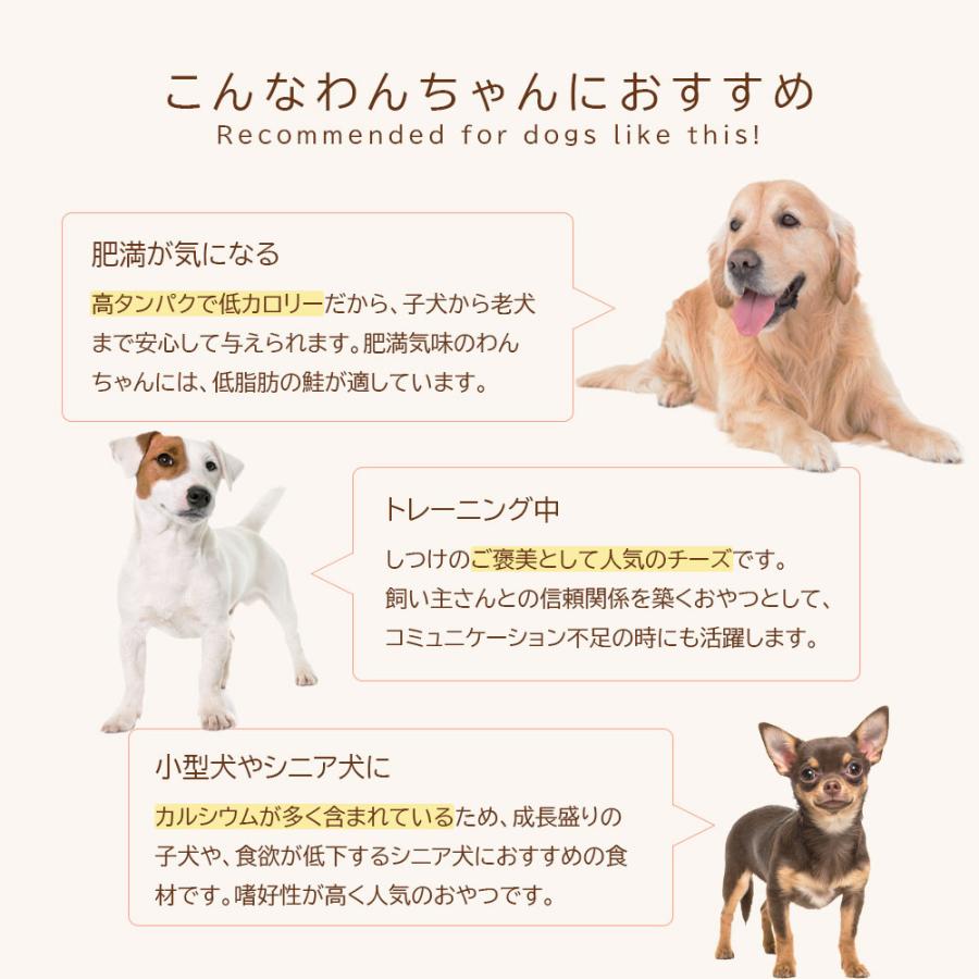 フリーズドライ チーズダイス 80g (40ｇ×2袋) アニマルシェ公式 獣医師監修 国産 チーズ 犬餌 一口サイズ おやつ 犬 犬おやつ ペットおやつ 爆買 |  | 04
