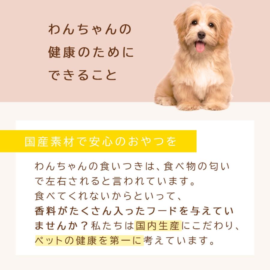 フリーズドライ チーズダイス 80g (40ｇ×2袋) アニマルシェ公式 獣医師監修 国産 チーズ 犬餌 一口サイズ おやつ 犬 犬おやつ ペットおやつ 爆買 |  | 08