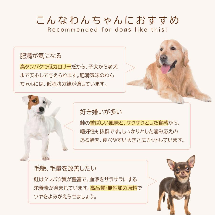 鮭切り身 ペット用 80g (40g×2袋）アニマルシェ公式 獣医師監修 国産 無添加 しゃけ 鮭 サーモン 魚 猫 犬餌 おやつ 犬 犬おやつ ペットおやつ 爆買 |  | 04