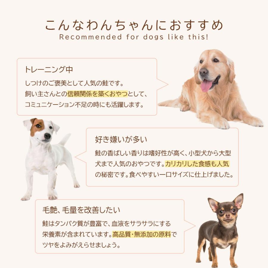 鮭ダイス 120g (60g×2袋）アニマルシェ公式 獣医師監修 国産 無添加 鮭 しゃけ 一口サイズ 犬餌 おやつ 犬 犬おやつ ペットおやつ 送料無料 爆買 |  | 04