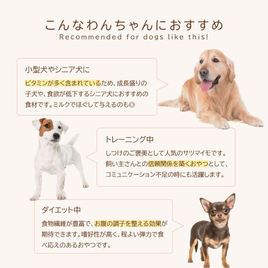 焼き芋キューブ 120g(60g×2袋）アニマルシェ公式 獣医師監修 国産 無添加 さつまいも 一口サイズ 猫 犬餌 小型犬 爆買 |  | 04