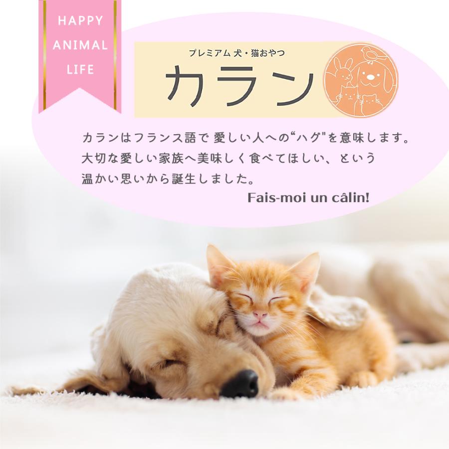 ペット おやつ 国産 豚耳 細切り【無着色】100ｇカラン 豚耳ハード コラーゲン カルシウム 犬用 ペットおやつ ペットフード ペット おやつ 送料無料 爆買 |  | 01