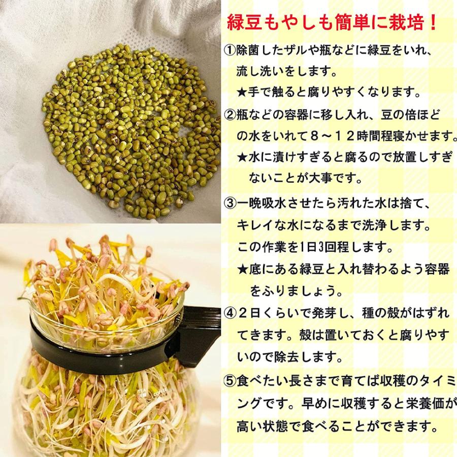 もやし 緑豆 ムング豆 ムングホール 皮付き 1kg 業務用 緑豆もやし 乾燥
