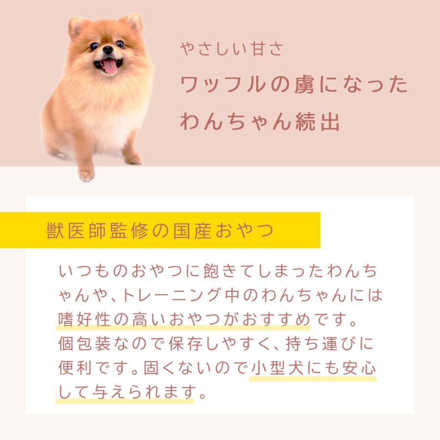 ワッフル 2種 各6枚 12枚セットアニマルシェ公式 獣医師監修 国産 犬用 各6枚 12枚セット 犬餌 おやつ 犬 犬おやつ ペットおやつ 犬用 小型犬 大型犬 爆買 |  | 08