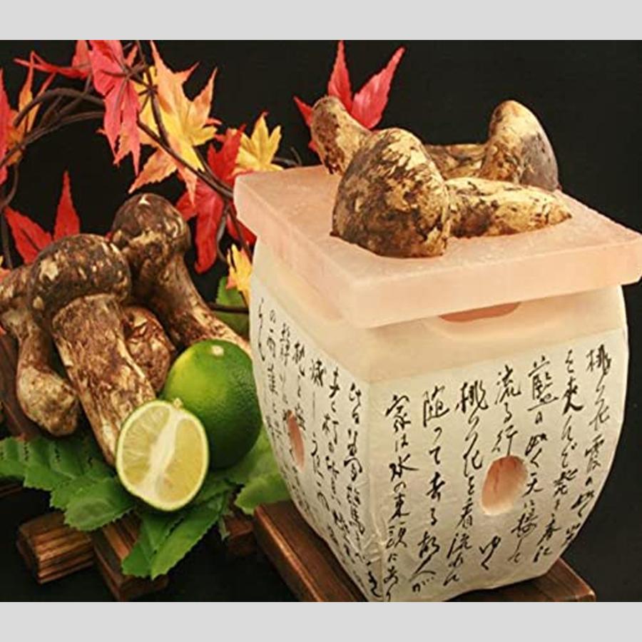 ヒマラヤ産 天然 岩塩プレート 1枚 (120mm×120mm×13mm) 塩 プレート 焼肉 バーベキュー アウトドア 浄化 爆買 |  | 03