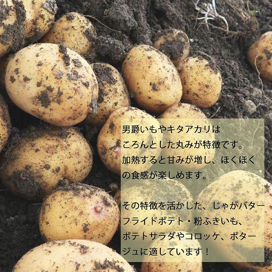 じゃがいも 訳あり 国産 業務用 5kg 大容量 新鮮 野菜 じゃがバター 爆買 |  | 01