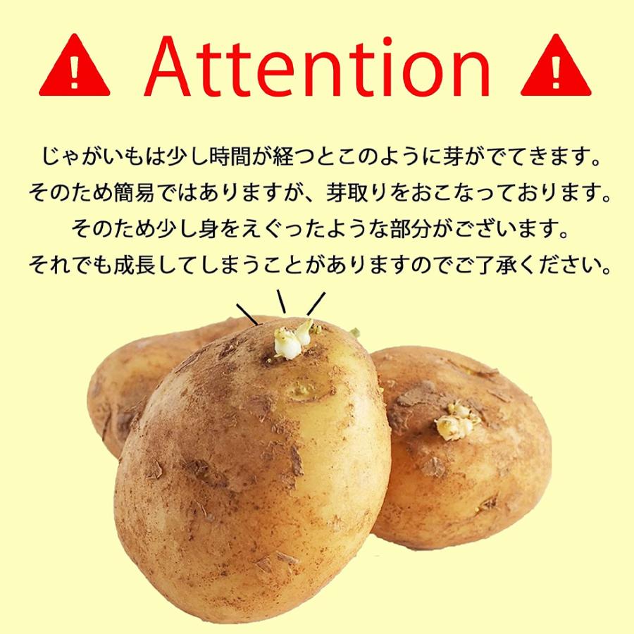 じゃがいも 訳あり 国産 業務用 5kg 大容量 新鮮 野菜 じゃがバター 爆買 |  | 03