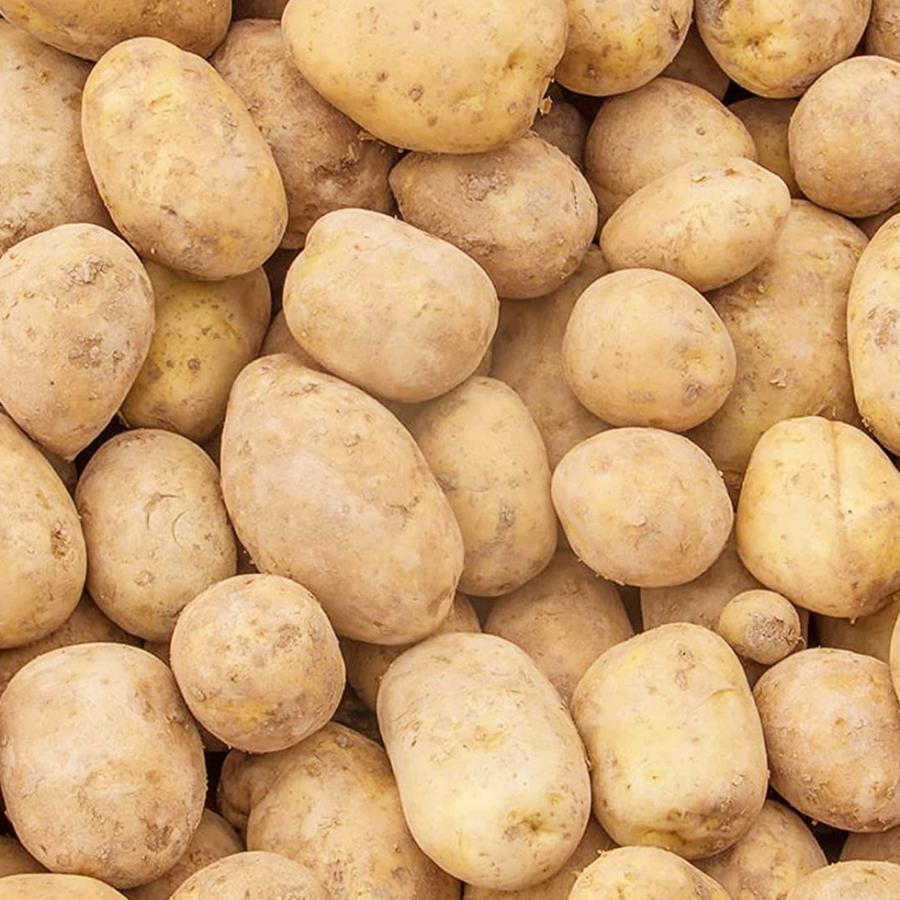 じゃがいも 訳あり 国産 業務用 5kg 大容量 新鮮 野菜 じゃがバター 爆買 |  | 04