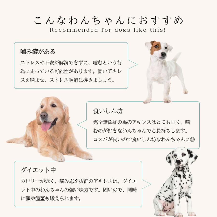 馬アキレス ロング 2本入り 80g アニマルシェ公式 獣医師監修 アキレス 犬用 ペットおやつ 無添加 無着色 犬用おやつ 犬餌 高たんぱく 低脂質 爆買 |  | 04