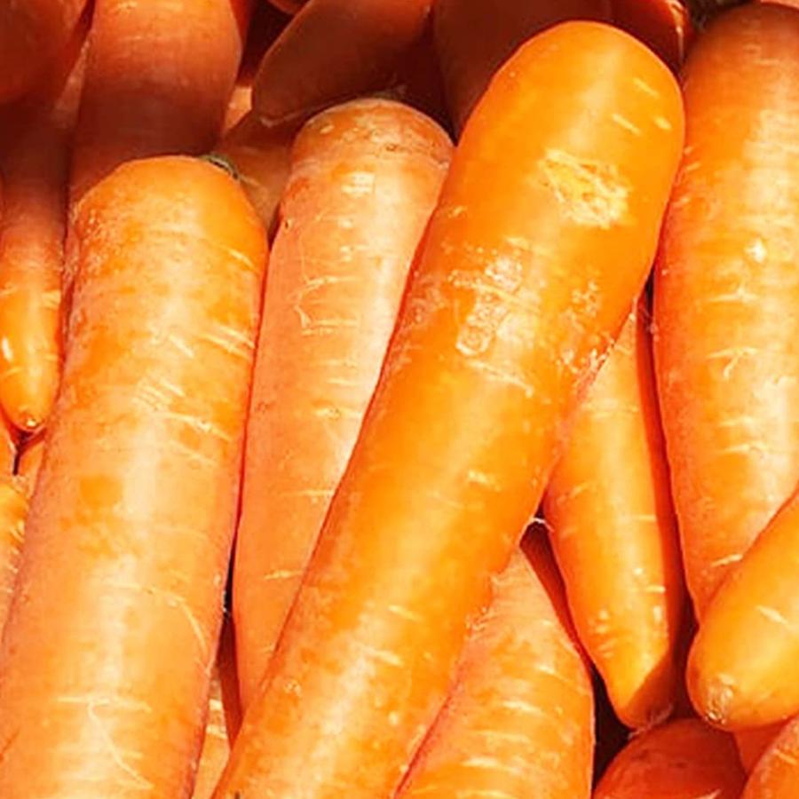 人参 訳あり 国産 にんじん 10kg 人参 サイズバラバラ 濃厚な味わい カレーやピクルス 漬物 離乳食に ベビーフード 爆買 |  | 04