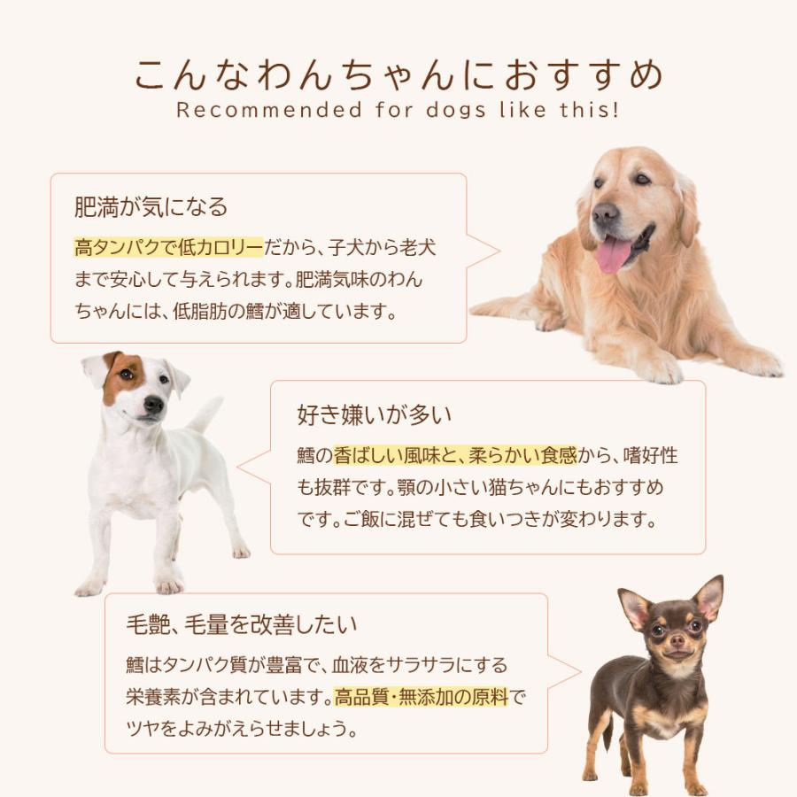 獣医師監修 ほぐしタラ 40g【国産 無添加 無着色】 国産 低カロリー 鱈 たら タラ 魚 ドッグフード 高たんぱく 低脂質ペットおやつ お徳用 爆買 |  | 04