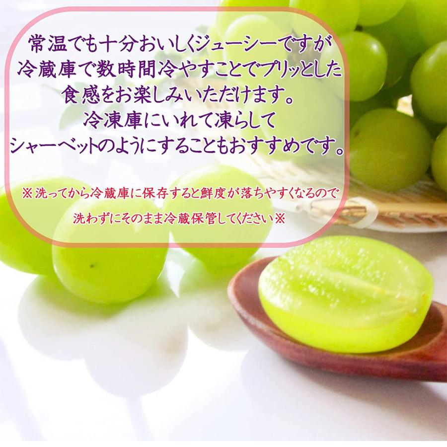 シャインマスカット 1房 ハロウィン 2025 ギフト 秀品 300-400g 産地お任せ 白葡萄 種なし ぶどう 爆買 |  | 03
