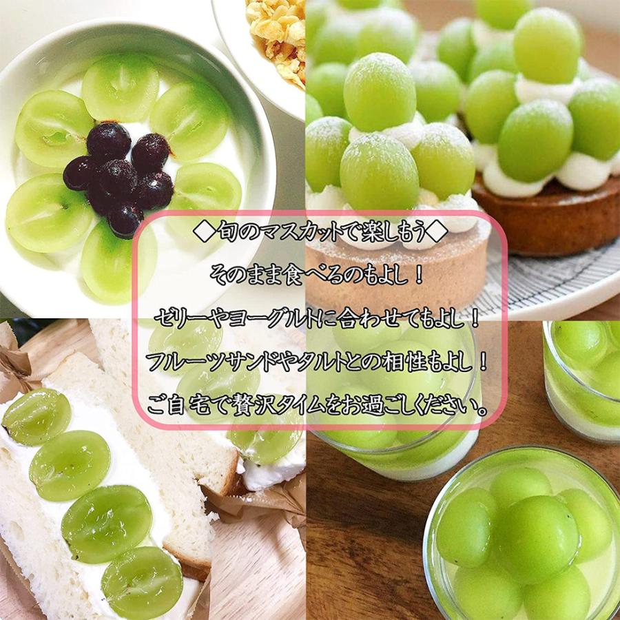 シャインマスカット 1房 ハロウィン 2025 ギフト 秀品 300-400g 産地お任せ 白葡萄 種なし ぶどう 爆買 |  | 04