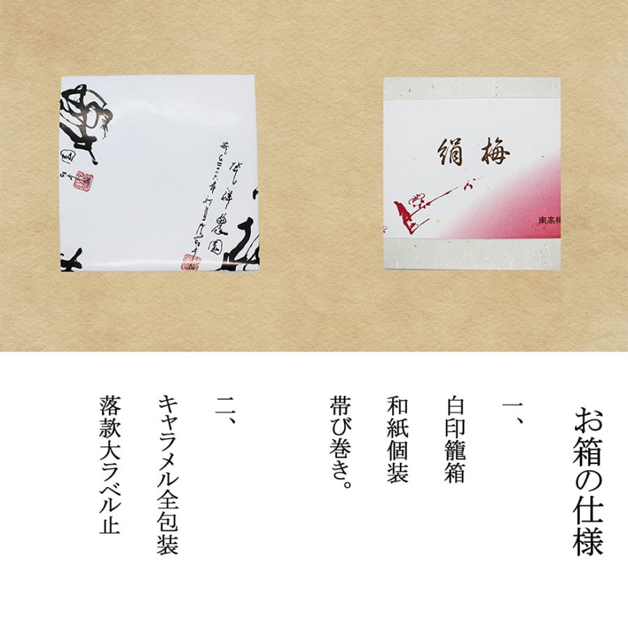 梅干し 個包装 高級 紀州南高梅「ひと雫の絹梅」はちみつ梅 16粒入 バレンタインデー 2026 ギフト 爆買 |  | 03