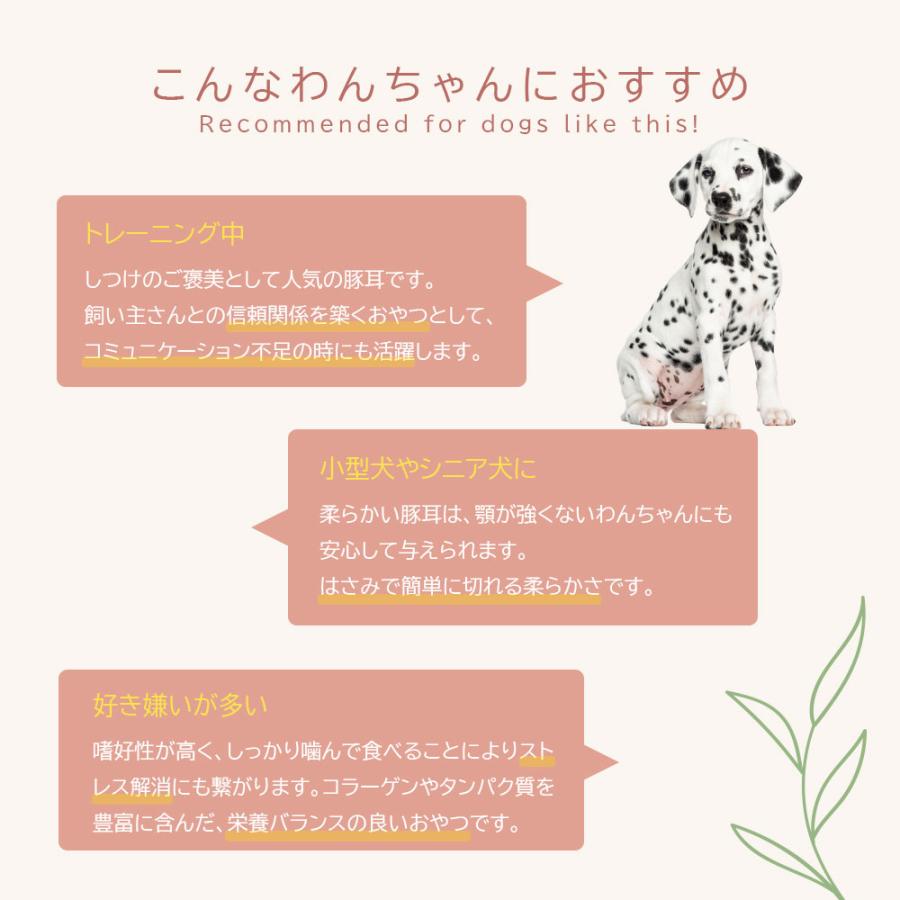 豚耳 犬用 おやつ 細切り 100g アニマルシェ公式 獣医師監修 国産 無着色 ペットフード 普通郵便 爆買 |  | 04