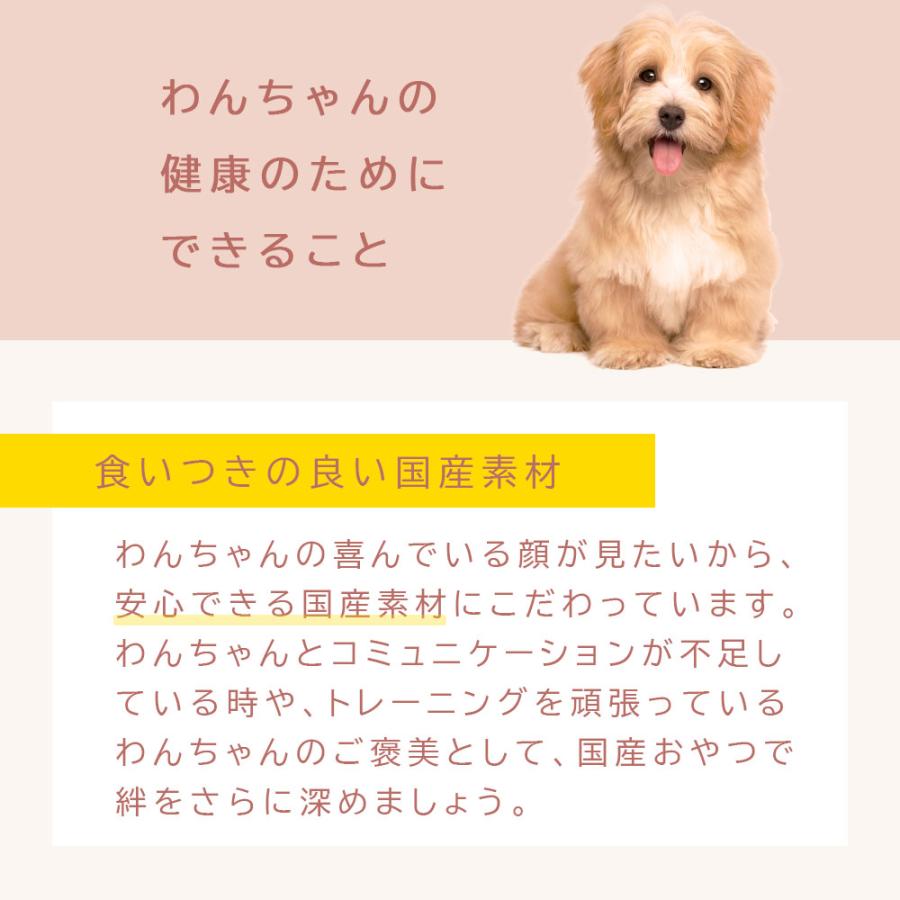 豚耳 犬用 おやつ 細切り 100g アニマルシェ公式 獣医師監修 国産 無着色 ペットフード 普通郵便 爆買 |  | 08