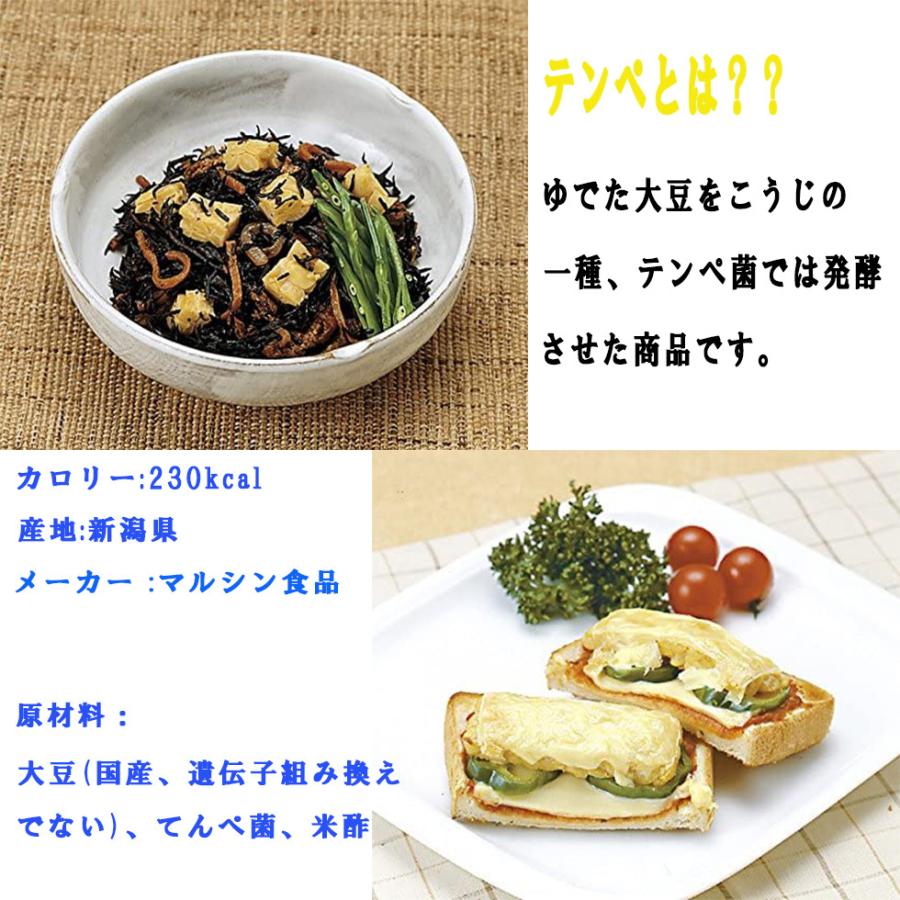 テンペ 大豆 非常食 保存食 常温 発酵食品 マルシン食品 100g×10個 ダイエット 爆買 |  | 01