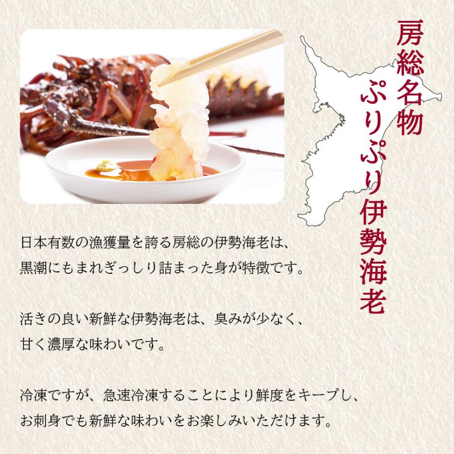 伊勢海老 訳ありギフト 刺身 内祝い プレゼント 約900g-1kg (8〜12尾) エビ 高級 冷凍 お歳暮 2025 |  | 03