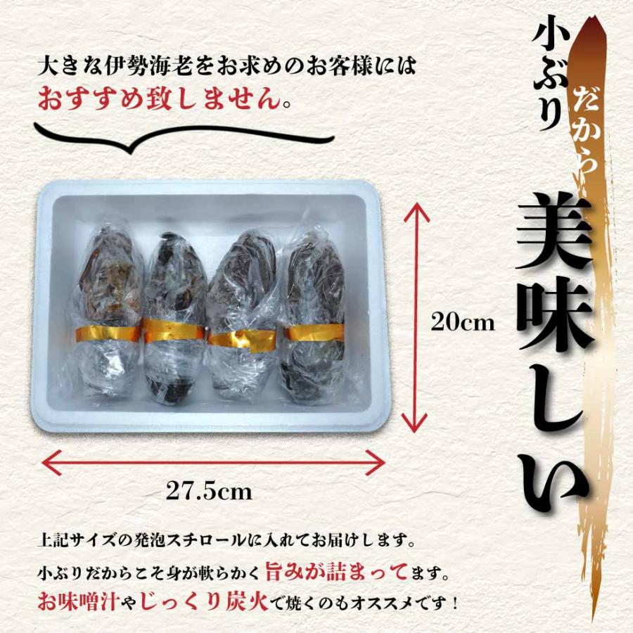 伊勢海老 冷凍 国産 生食用 約450-500g (4〜6尾) 刺身 エビ 海老｜next1021｜03