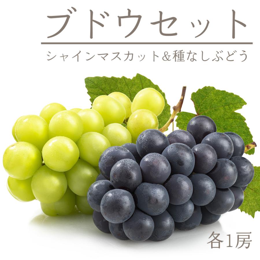 シャインマスカット ＆ 種無し 葡萄 食べ比べ セット 2026 ギフト 国産 フルーツ 生鮮 果物 爆買 | 