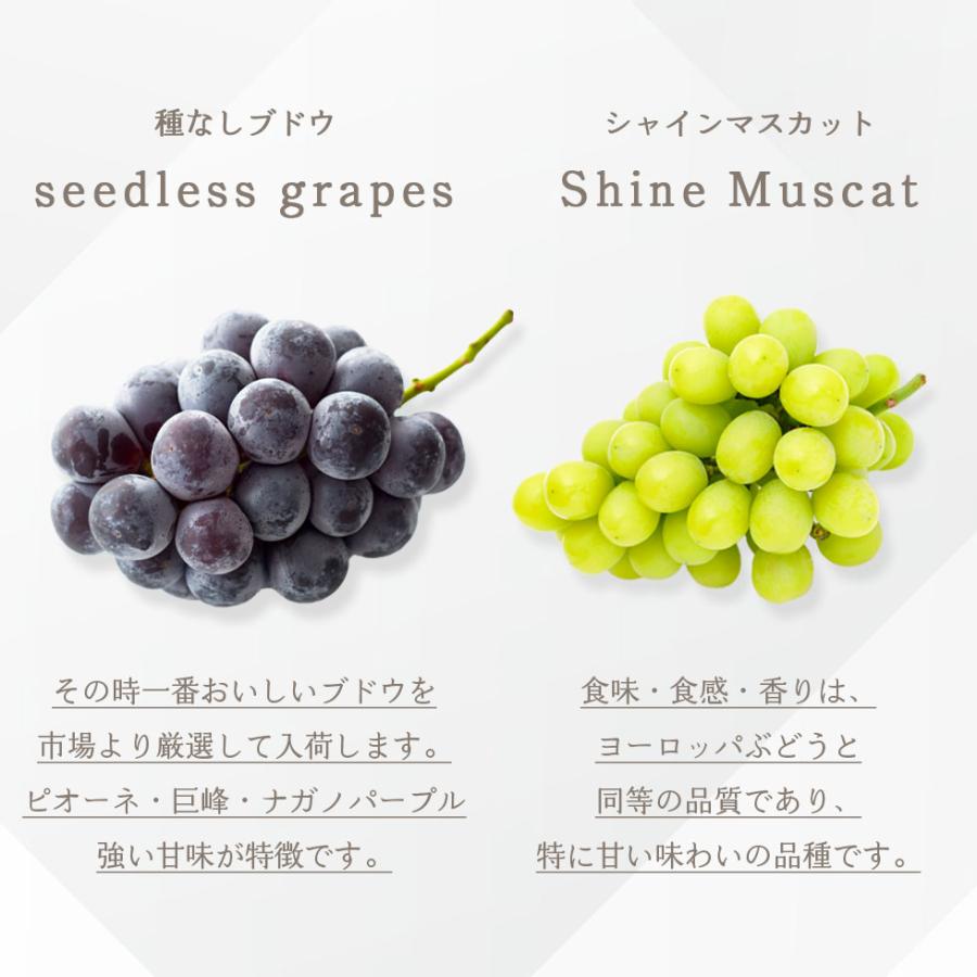 シャインマスカット ＆ 種無し 葡萄 食べ比べ セット 2026 ギフト 国産 フルーツ 生鮮 果物 爆買 |  | 01