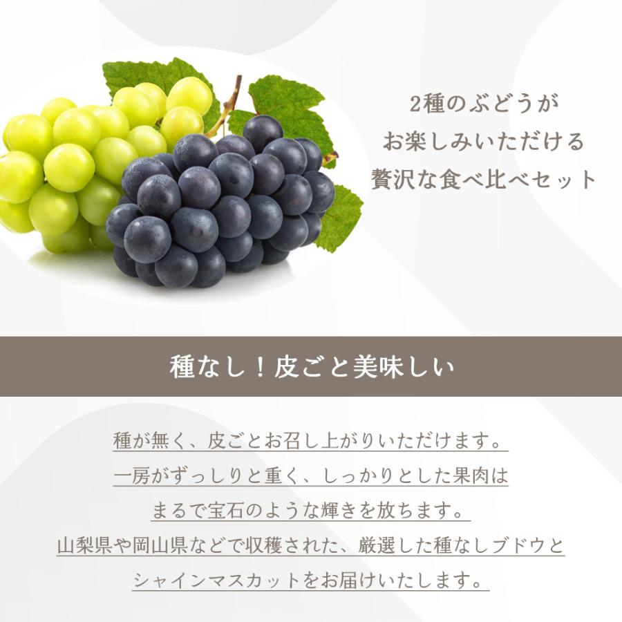 シャインマスカット ＆ 種無し 葡萄 食べ比べ セット 2026 ギフト 国産 フルーツ 生鮮 果物 爆買 |  | 02