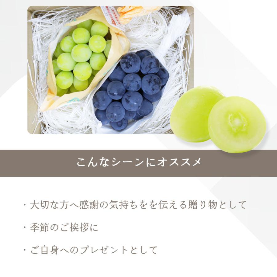シャインマスカット ＆ 種無し 葡萄 食べ比べ セット 2026 ギフト 国産 フルーツ 生鮮 果物 爆買 |  | 04