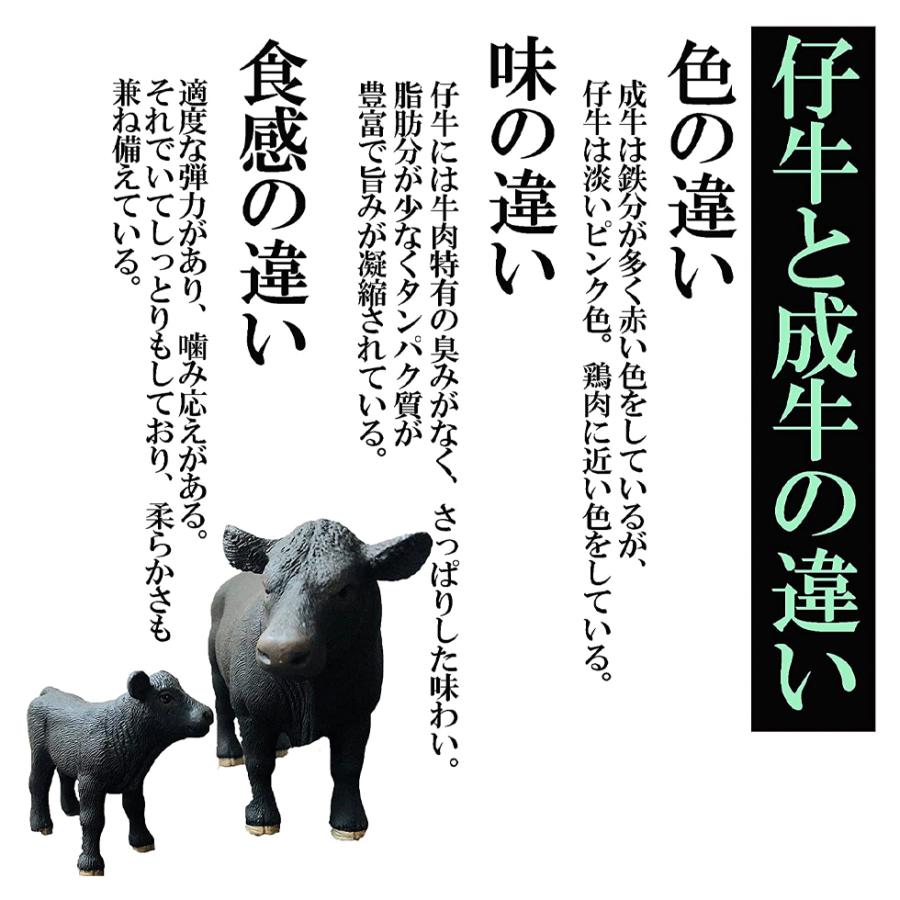 Tボーン ステーキ カナダ産 500g (250g×2) サーロイン ヒレ 骨付き肉 牛肉 焼肉 キャンプ バーベキュー 爆買 |  | 02