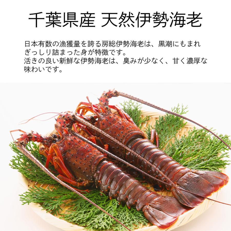 伊勢海老 500g ＆ ズワイ蟹 500g 福袋 2026 豪華海鮮セット 高級 冷凍 ギフト シーフード 爆買 |  | 02