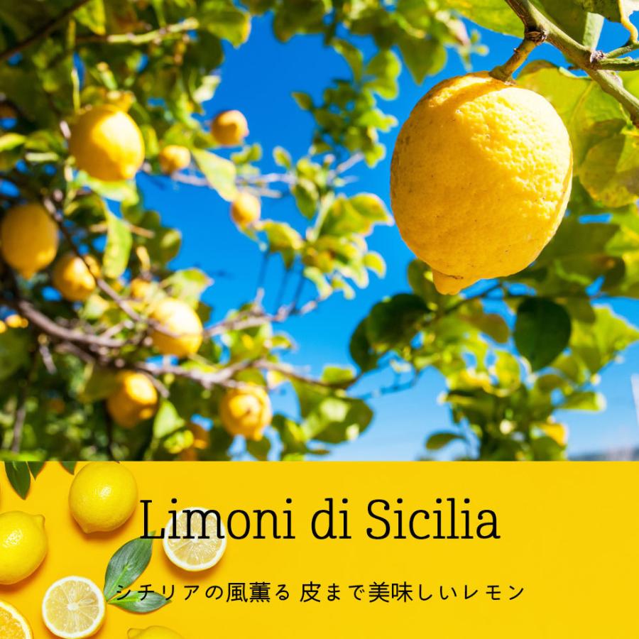 冷凍レモン シチリア 業務用 スライス 500g ノーワックス オーガニック 爆買 |  | 01