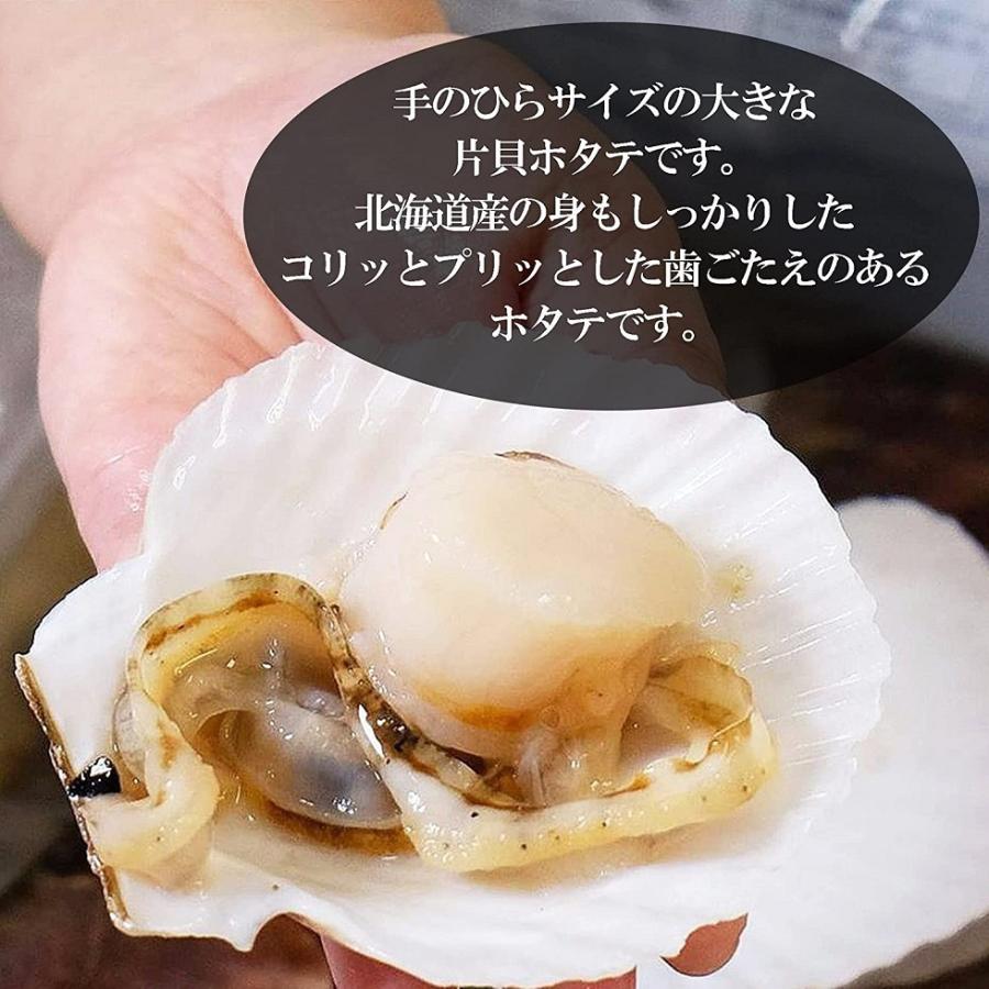 ホタテ 殻付き 北海道産 片貝ホタテ 1袋10枚入 安全確認認証済 国産 海鮮 帆立 冷凍 貝柱 調理用 バーベキュー BBQ ほたて片貝 ほたて 10枚 送料無料 爆買 |  | 02