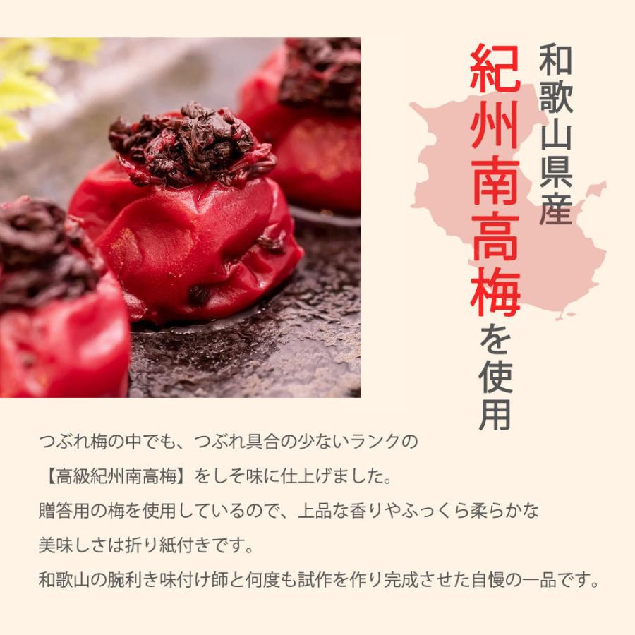 しそ 梅干し 訳あり 大粒 紀州南高 塩分18% 800g つぶれ梅 漬物 紫蘇 バレンタインデー 2026 ギフト 酸っぱい 爆買 |  | 04