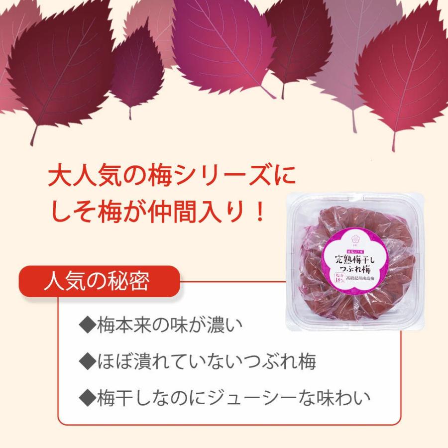 梅干し 大粒 完熟紀州南高梅 1.6kg 塩分18% 紀州南高梅 つぶれ梅 訳あり しそ梅 敬老の日 2026 ギフト 爆買 |  | 03
