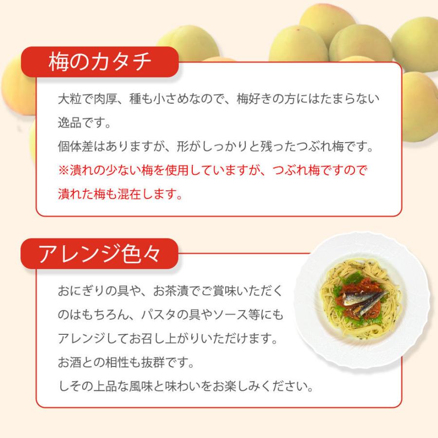 梅干し 大粒 完熟紀州南高梅 1.6kg 塩分18% 紀州南高梅 つぶれ梅 訳あり しそ梅 敬老の日 2026 ギフト 爆買 |  | 06