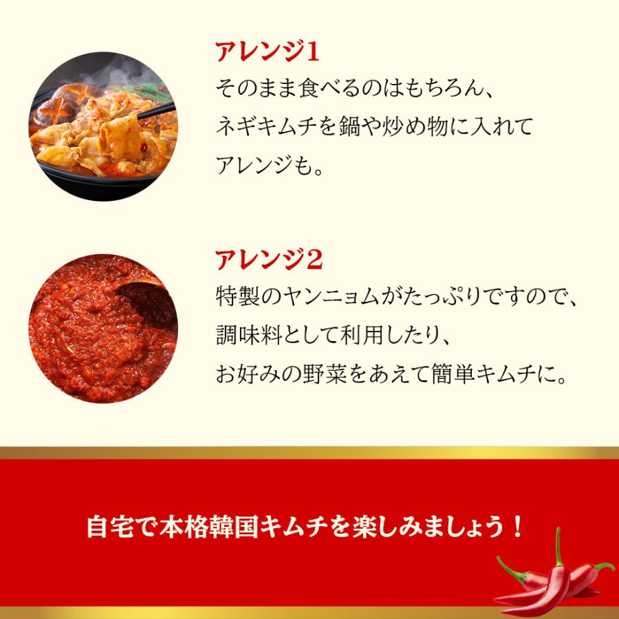 国産キムチ ネギキムチ 300g 自家製キムチ パキムチ 無添加 韓国食品 爆買 |  | 04