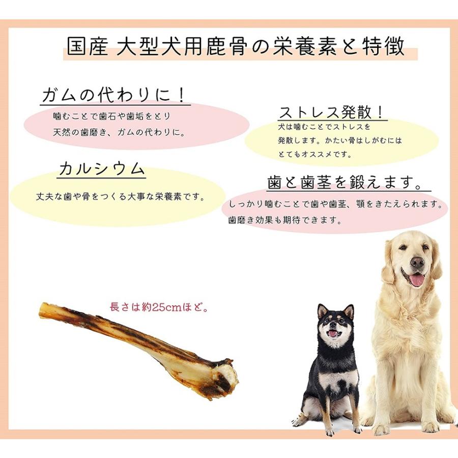 気質アップ 犬 骨 おやつ ガム 長持ち ペッツルート 犬用 堅い鹿骨 1本 Qdtek Vn
