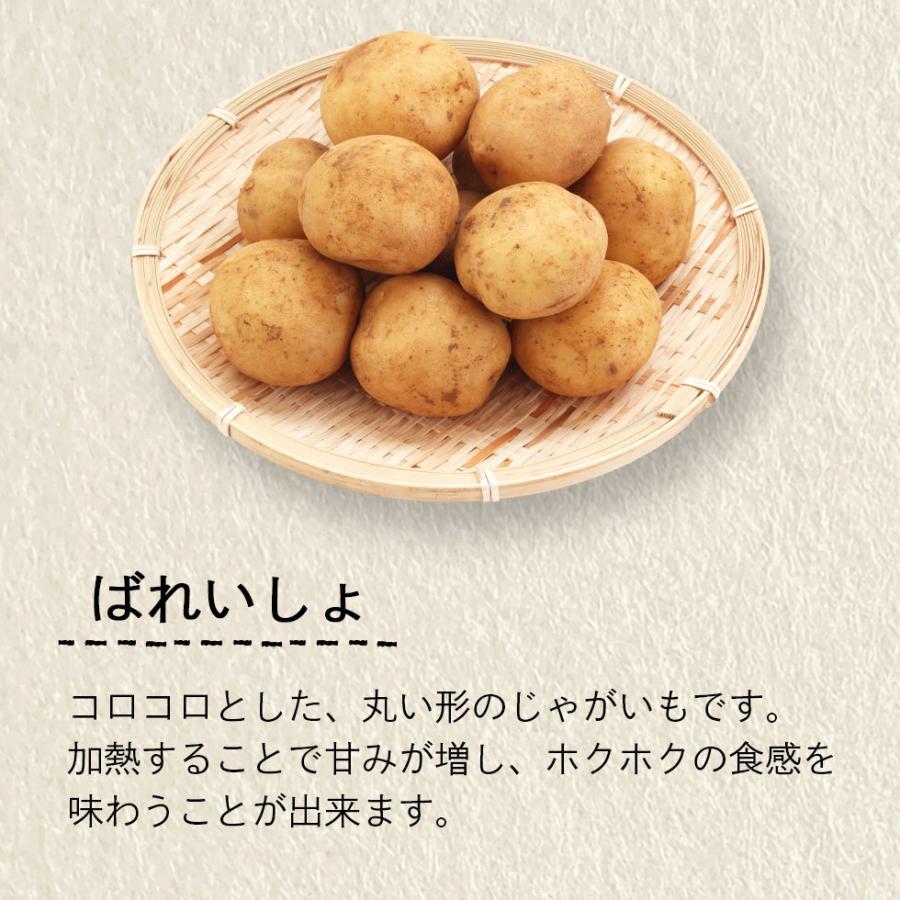 野菜セット 国産 たまねぎ じゃがいも にんじん 3品目 詰め合わせ 約5kg 毎日の食卓に使える新鮮な定番野菜 野菜セット玉葱 爆買 |  | 01