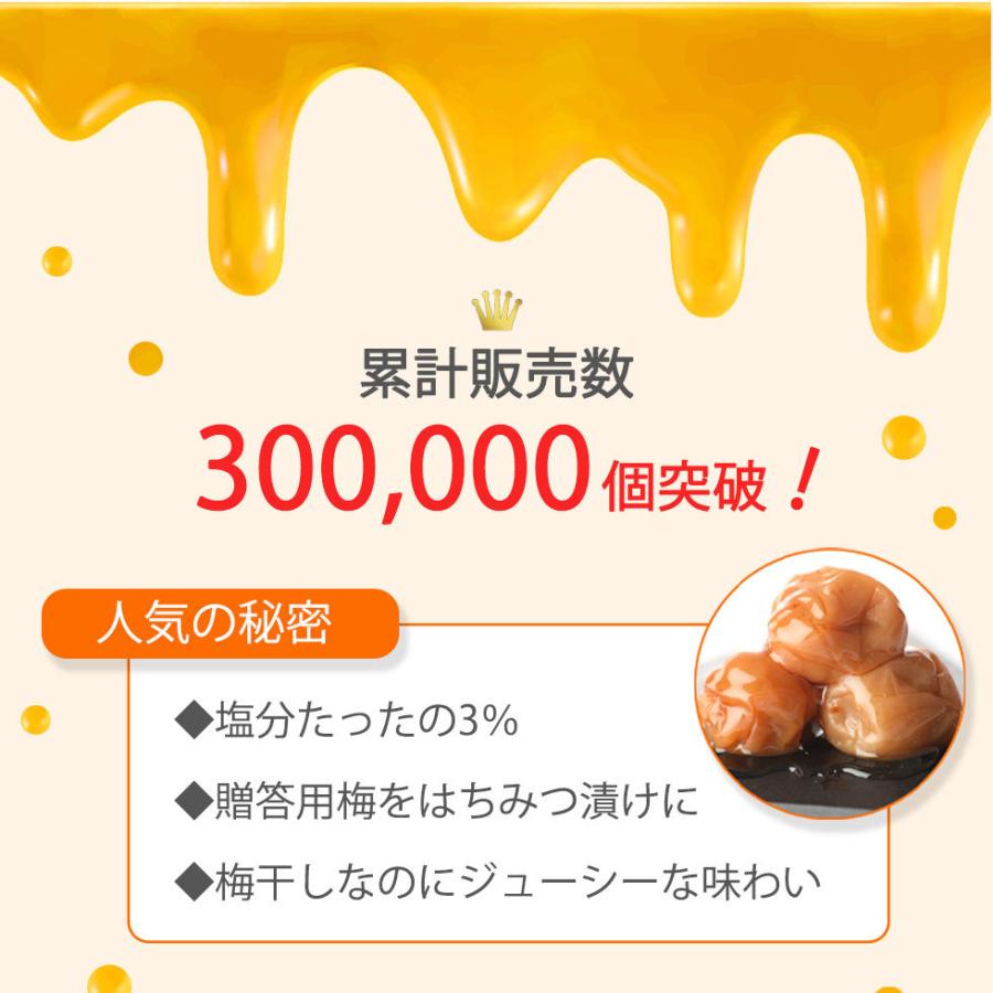梅干し バレンタインデー 2026 個包装 12粒 塩分3% 高級 はちみつ梅 大粒 紀州南高梅 減塩 高級 爆買 |  | 03